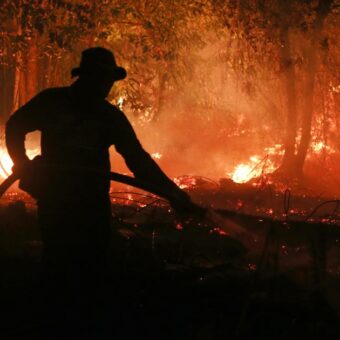 El Niño Could Lead to 451,000 Extra Heat-Related Deaths, Study Warns El Niño Could Lead to 451,000 Extra Heat-Related Deaths, Study Warns