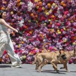 China’s  Trillion ‘Loneliness Economy’ Reflects a Global Shift in Living Alone