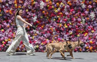 China’s Trillion ‘Loneliness Economy’ Reflects a Global Shift in Living Alone China’s Trillion ‘Loneliness Economy’ Reflects a Global Shift in Living Alone