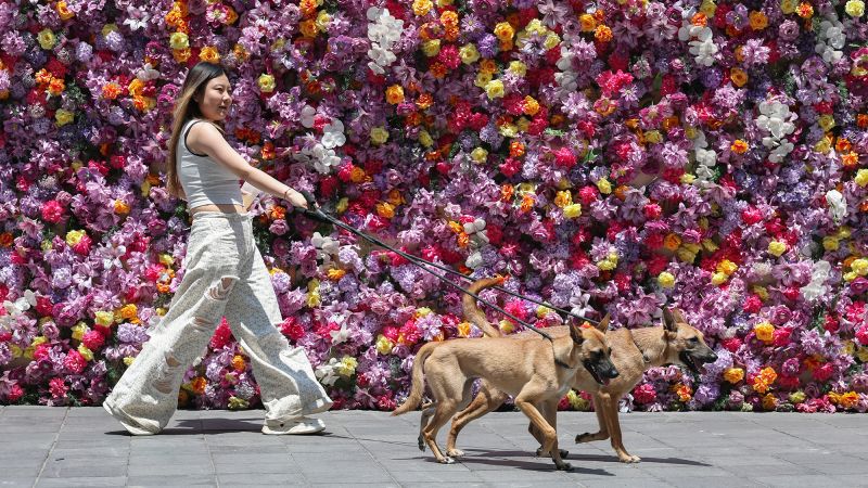 China’s  Trillion ‘Loneliness Economy’ Reflects a Global Shift in Living Alone