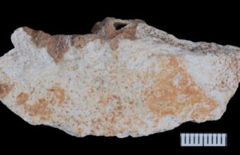 China’s Cave Fossils Shed New Light on Mysterious Denisovans China’s Cave Fossils Shed New Light on Mysterious Denisovans