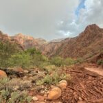 Grand Canyon Floods Claim Lives, Army Secretary Resigns: Key Updates Grand Canyon Floods Claim Lives, Army Secretary Resigns: Key Updates
