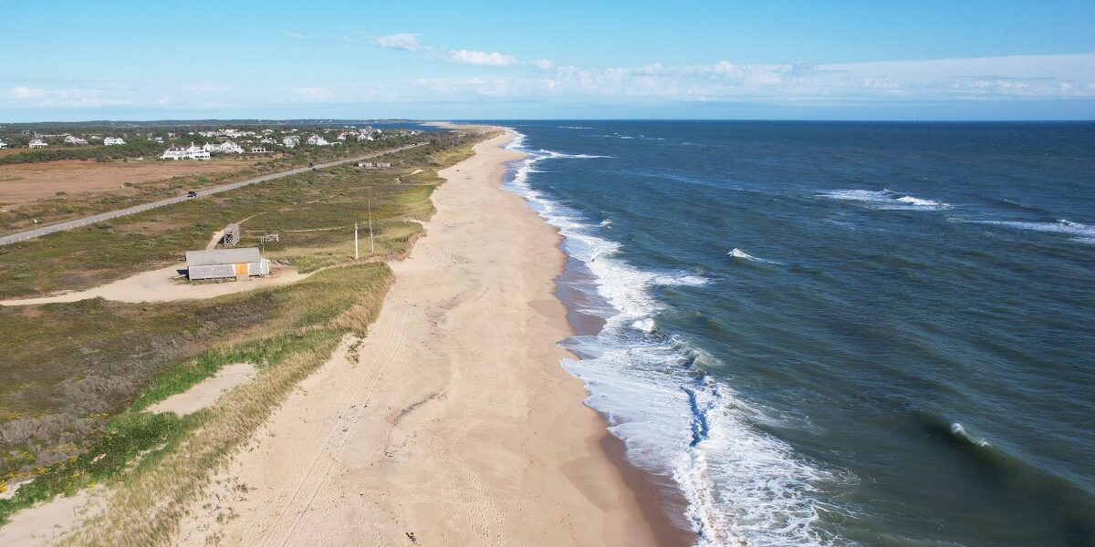 Woman Hospitalized Following Suspected Shark Bite at Martha’s Vineyard