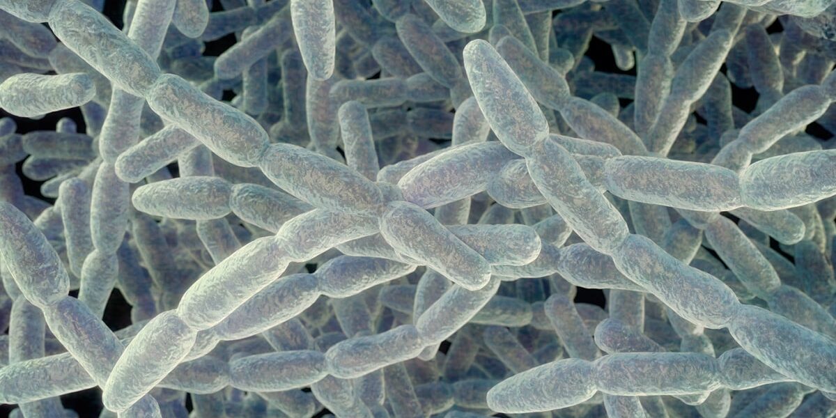 NYC Implements Enhanced Legionnaires’ Disease Safety Protocols Following Fatal Outbreak