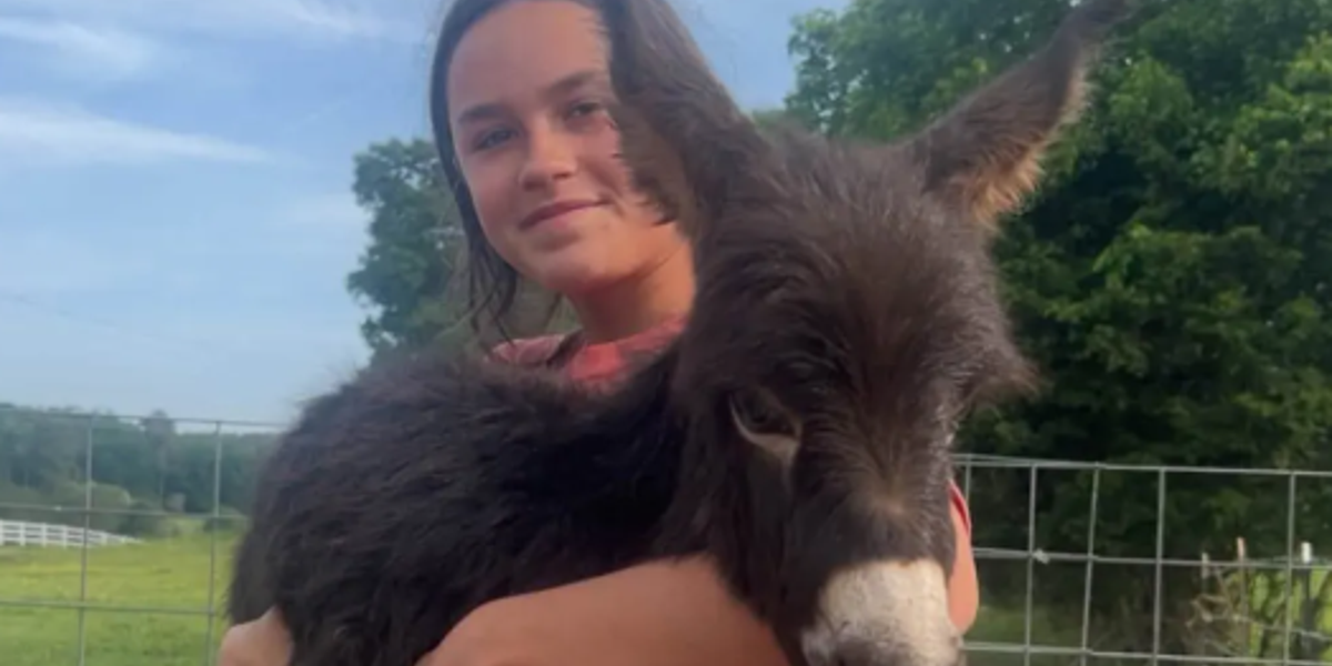 Georgia Officer Shoots Pet Donkey ‘HeeHaw’ During Missing-Child Search; Placed on Leave Amid Investigation Georgia Officer Shoots Pet Donkey ‘HeeHaw’ During Missing-Child Search; Placed on Leave Amid Investigation