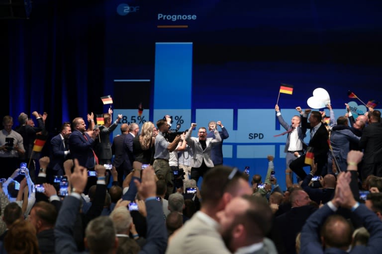 AfD’s Triumph in Saxony-Anhalt Raises Concerns Across Europe