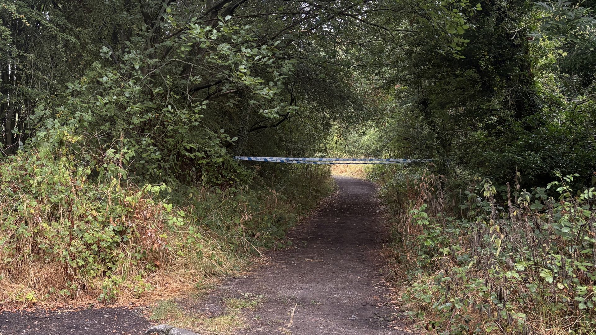 Man Dies After Dog Bite on West Yorkshire Footpath, Inquest Reveals