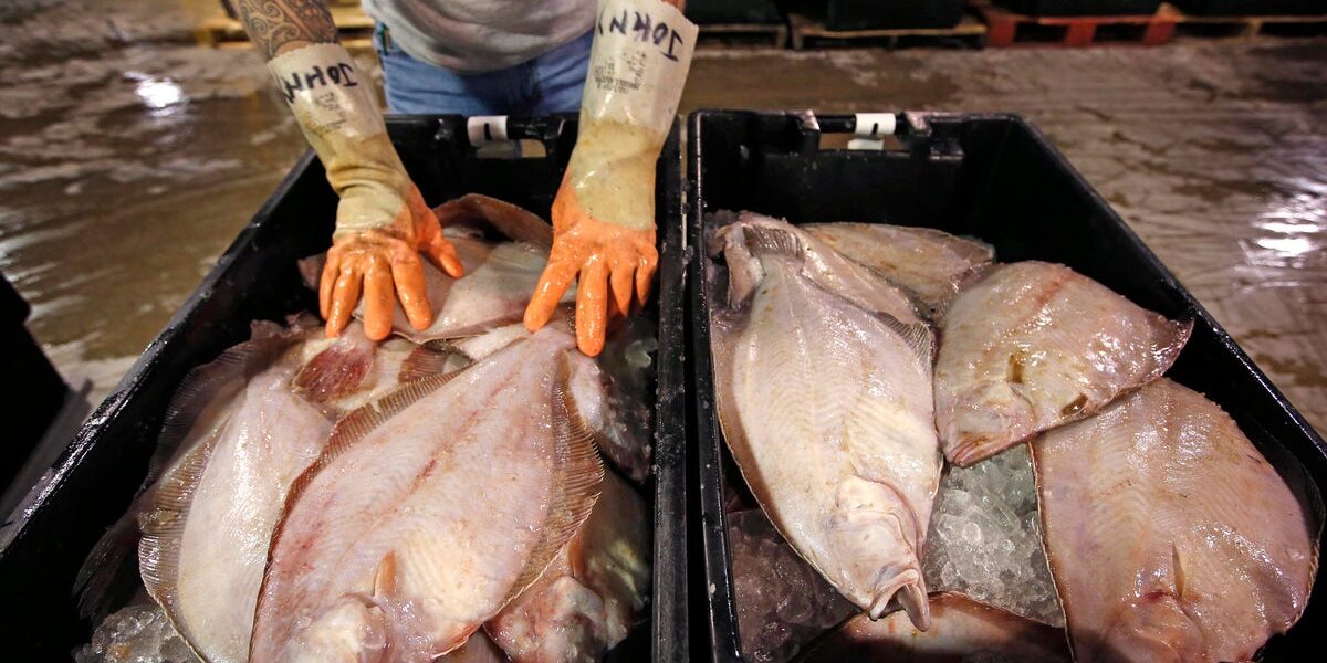 Can Flounder Become the Next Social Media Food Trend? Chefs Are Optimistic