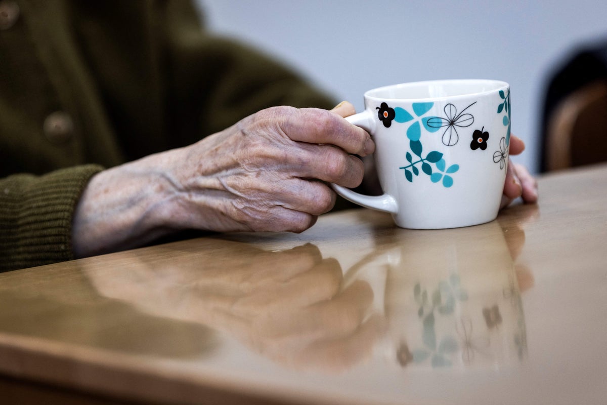 Breakthrough Discovery: Scientists Uncover Why Alzheimer’s Body Fails to Heal Itself