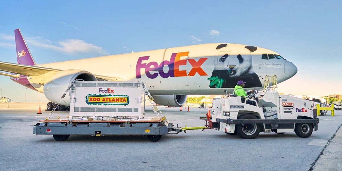 Two Giant Pandas Begin 10-Year Stay at Atlanta Zoo from China Two Giant Pandas Begin 10-Year Stay at Atlanta Zoo from China