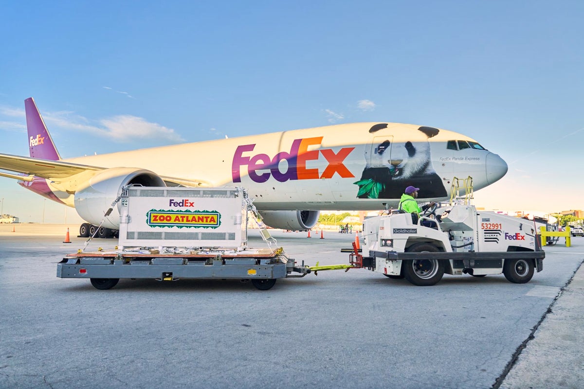 Two Giant Pandas Begin 10-Year Stay at Atlanta Zoo from China Two Giant Pandas Begin 10-Year Stay at Atlanta Zoo from China