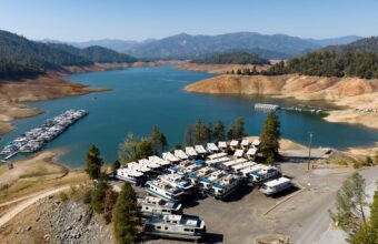 Man Drowns After Jumping Into Lake Shasta to Save Dog That Leapt From Boat Man Drowns After Jumping Into Lake Shasta to Save Dog That Leapt From Boat