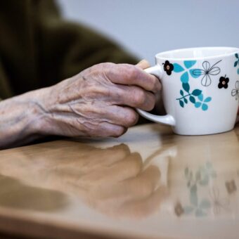 Breakthrough Discovery: How Blood System Aging May Halt Alzheimer’s Healing Breakthrough Discovery: How Blood System Aging May Halt Alzheimer’s Healing