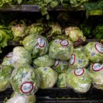 FDA Closes Cyclospora Outbreak Investigation, But Source of 13,000 Cases Remains a Mystery