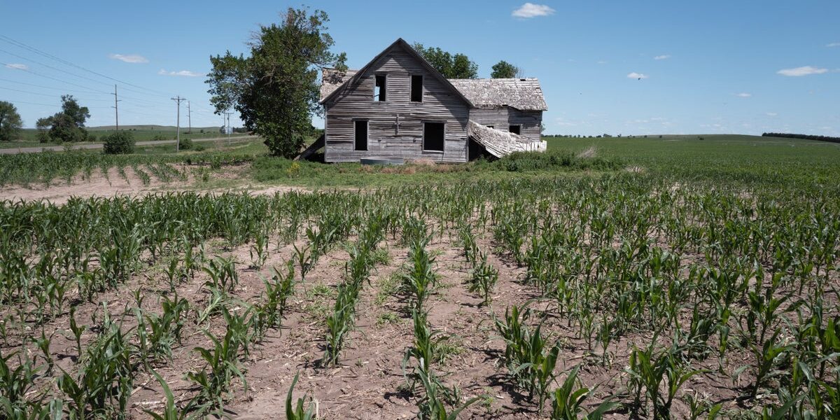 Farmers Face Record Diesel Costs as Harvest Season Looms Farmers Face Record Diesel Costs as Harvest Season Looms