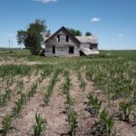 Farmers Face Record Diesel Costs as Harvest Season Looms