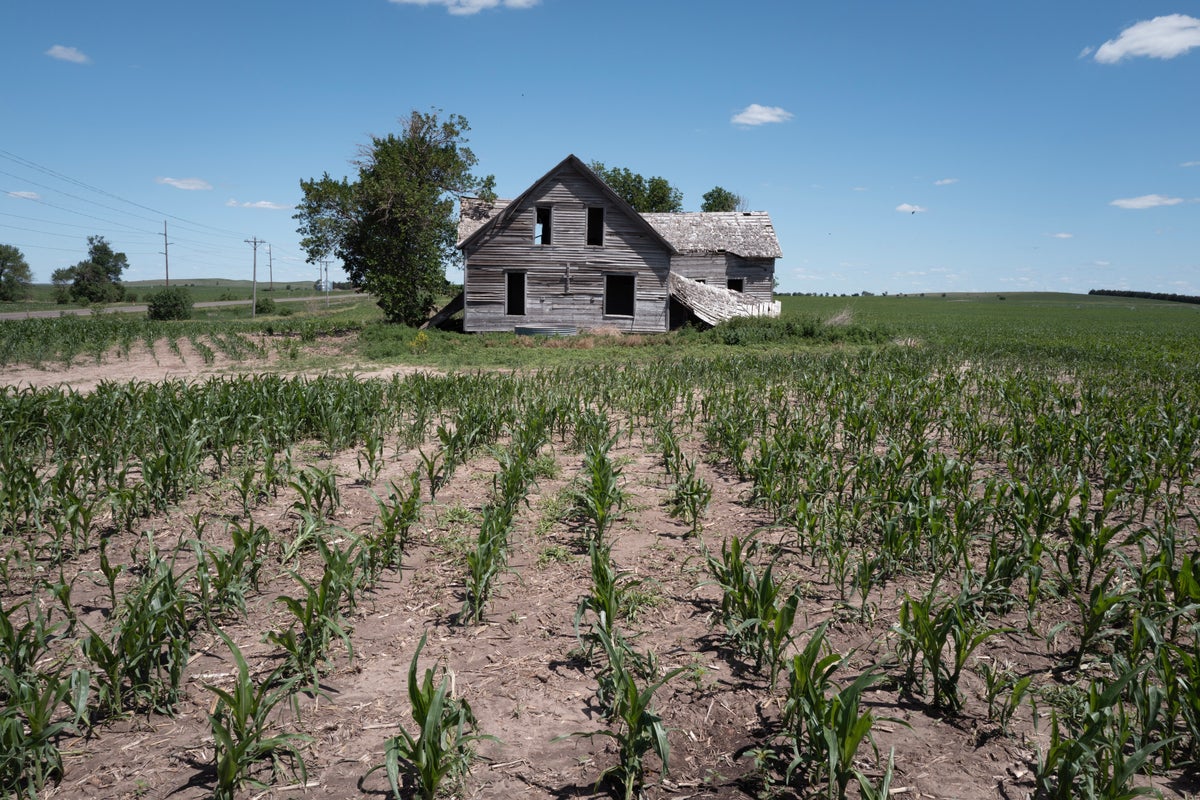 Farmers Face Record Diesel Costs as Harvest Season Looms Farmers Face Record Diesel Costs as Harvest Season Looms