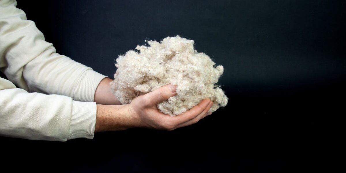 Can Fashion Redesign Its Future Without Exploiting Animals or the Planet? Can Fashion Redesign Its Future Without Exploiting Animals or the Planet?