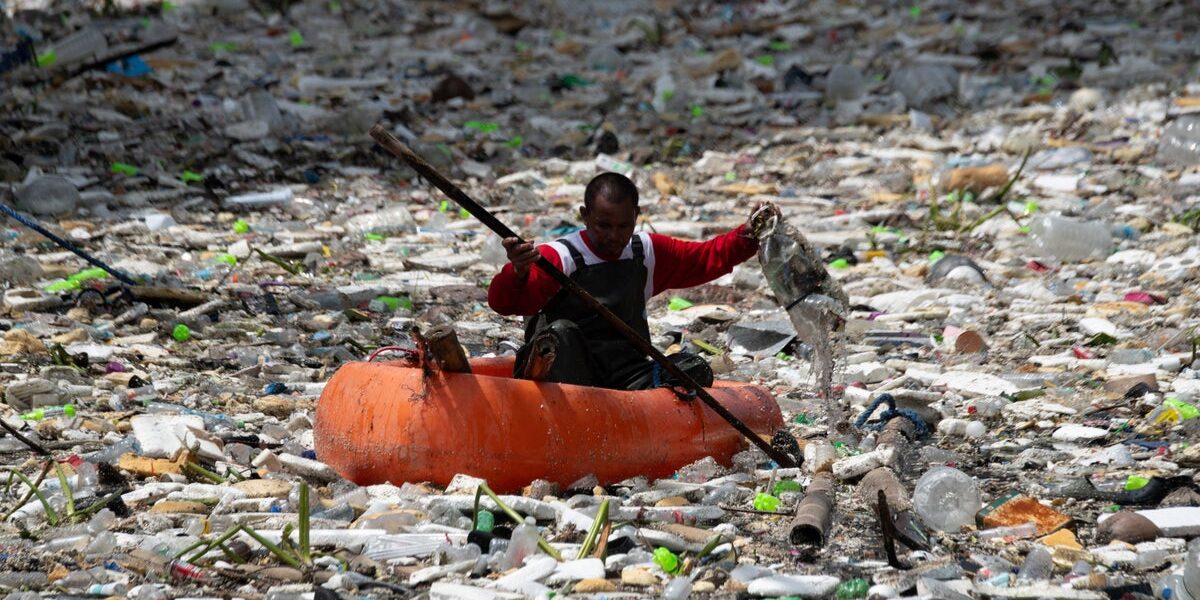 Philippines’ Mother Earth Foundation Makes Global Environmental Impact Philippines’ Mother Earth Foundation Makes Global Environmental Impact