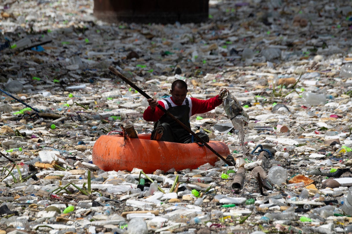 Philippines’ Mother Earth Foundation Makes Global Environmental Impact