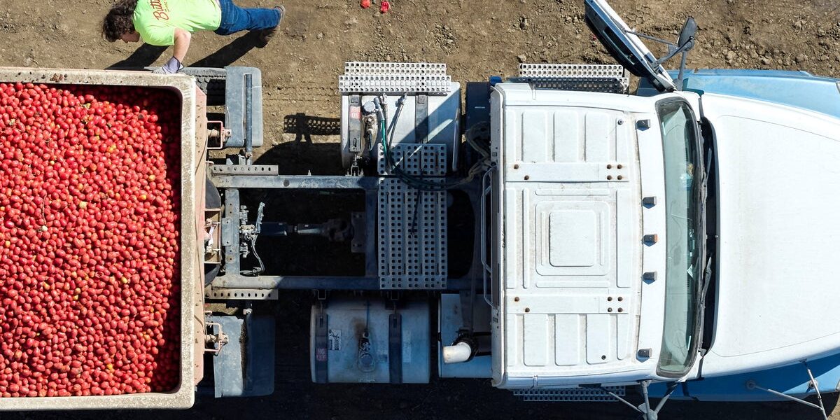 16 U.S. Trucking Firms File for Bankruptcy as Diesel Prices Surge 16 U.S. Trucking Firms File for Bankruptcy as Diesel Prices Surge