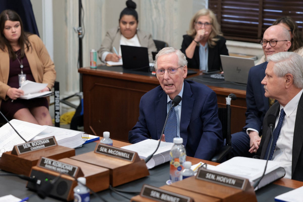 Mitch McConnell Struggles During Senate Vote, Requires Assistance from Colleague Mitch McConnell Struggles During Senate Vote, Requires Assistance from Colleague