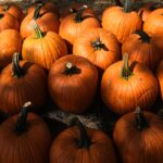 Shrinking Pumpkins and Potato Pressures: How Extreme Weather Threatens Britain’s Holiday Harvest