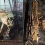 42kg of Fentanyl, Golden Gun, and Alligator Seized in LA Drug Raid
