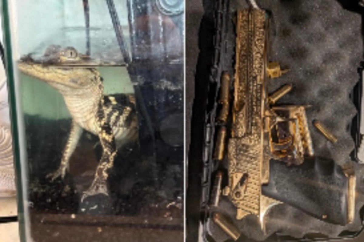 42kg of Fentanyl, Golden Gun, and Alligator Seized in LA Drug Raid