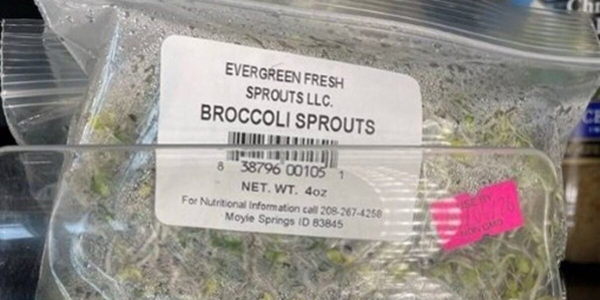 FDA Links Salmonella Outbreak to Contaminated Broccoli Sprouts