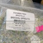 FDA Links Salmonella Outbreak to Contaminated Broccoli Sprouts