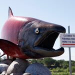 Antidepressants in Waterways: How Fish Are Being Affected Antidepressants in Waterways: How Fish Are Being Affected