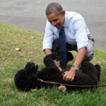 Barack Obama Shares Heartfelt Farewell for Family Dog Sunny, Who Passed Away at 13