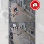 POLICY WIRE FACT CHECK: Viral Claim of Chimpanzee Rescuing Zookeeper Is AI