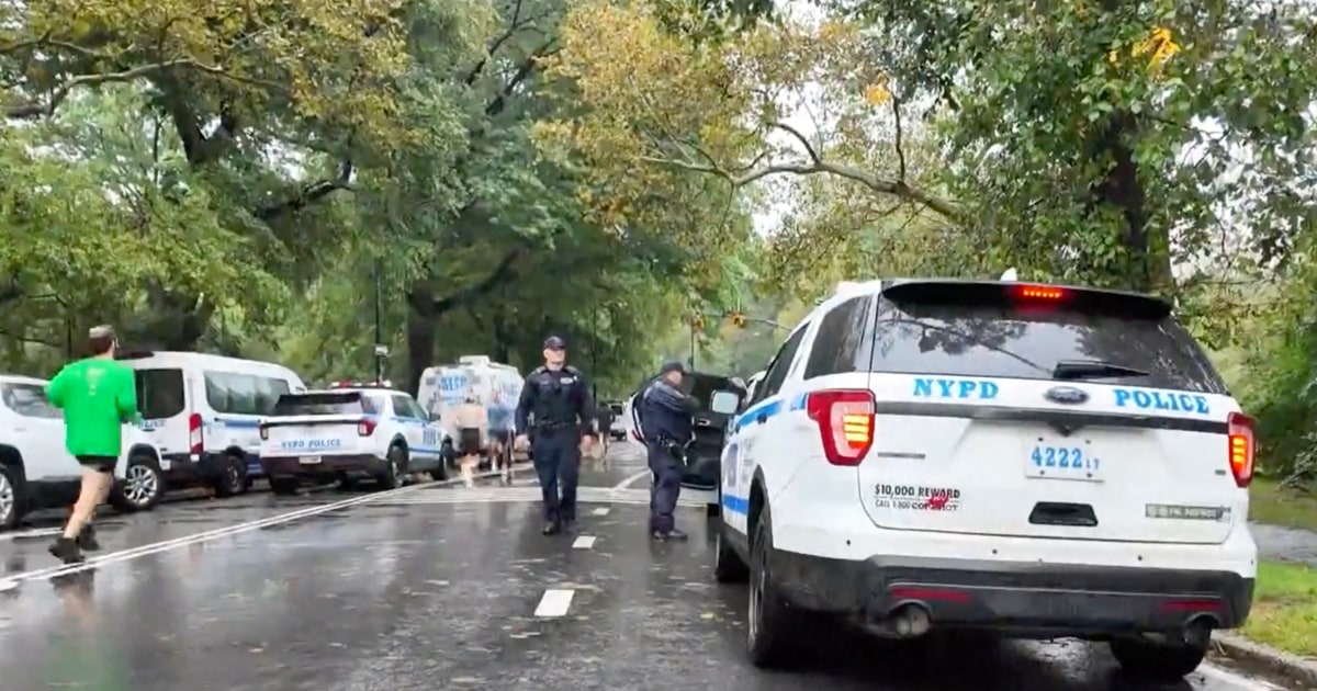 Man Arrested in 63-Year-Old Woman’s Murder in Central Park Man Arrested in 63-Year-Old Woman’s Murder in Central Park