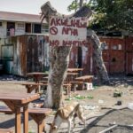 Two Mass Shootings in South African Townships Leave 27 Dead
