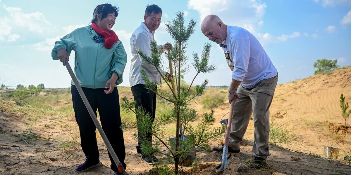 American Teacher’s ,000 Donation Transformed a Chinese Desert into a Forest