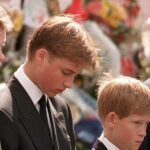 King Charles Denies Claims of Dismissal of Princess Diana in New Memoir