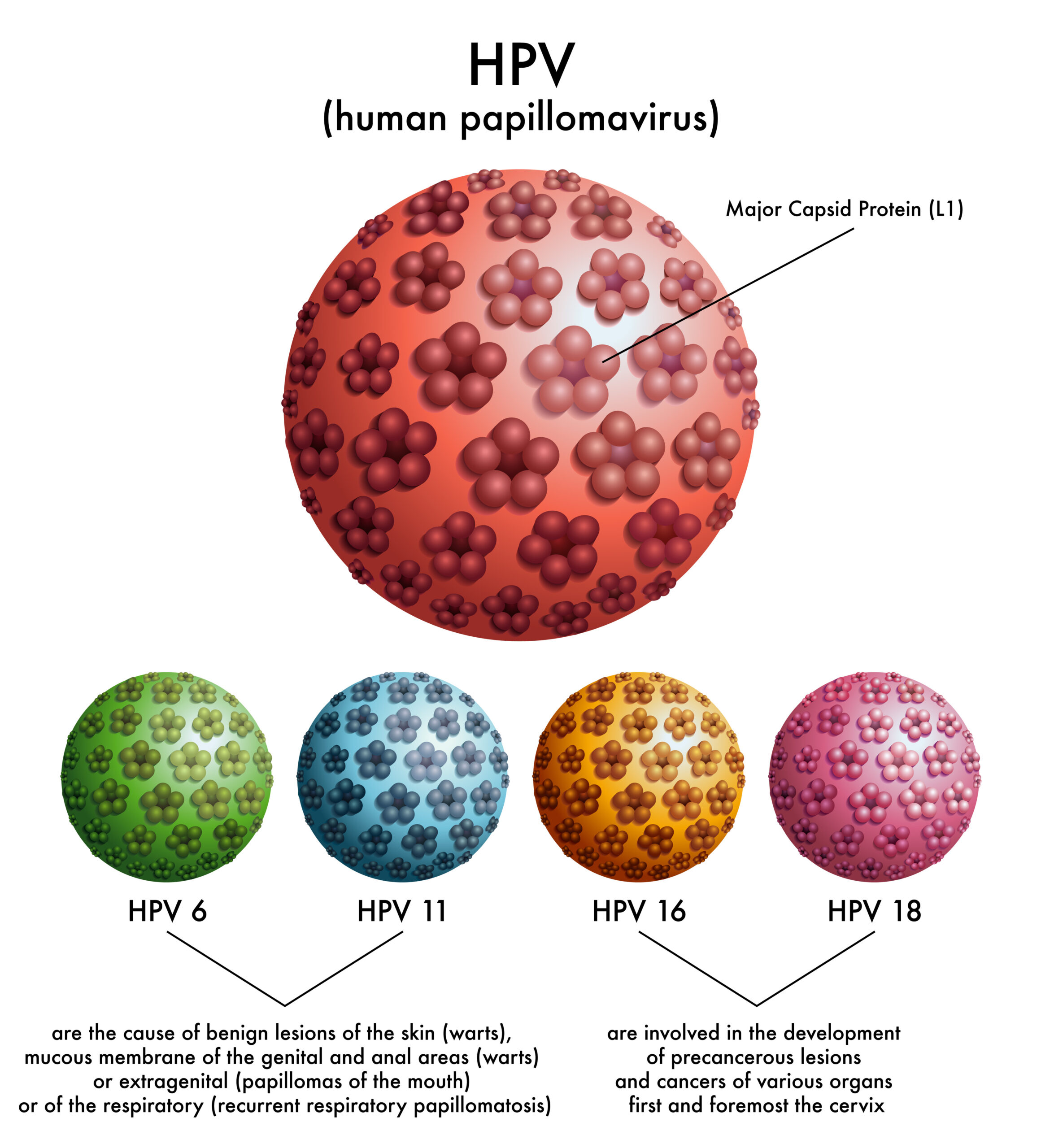 HPV Vaccine Debate: One Dose or Two?