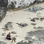 Australian Ecologist Dies After Cliff Fall at Bali’s Kelingking Beach