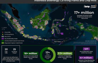 Japan’s Biomass Demand Sparks Deforestation in Indonesia