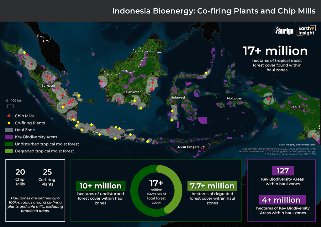 Japan’s Biomass Demand Sparks Deforestation in Indonesia
