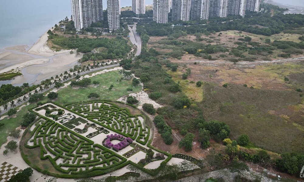 Scams and Illegal Activities Challenge Forest City’s Revival Efforts Scams and Illegal Activities Challenge Forest City’s Revival Efforts