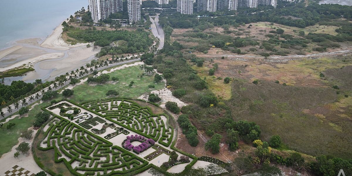 Scams and Illegal Activities Challenge Forest City’s Revival Efforts Scams and Illegal Activities Challenge Forest City’s Revival Efforts