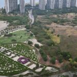 Scams and Illegal Activities Challenge Forest City’s Revival Efforts Scams and Illegal Activities Challenge Forest City’s Revival Efforts
