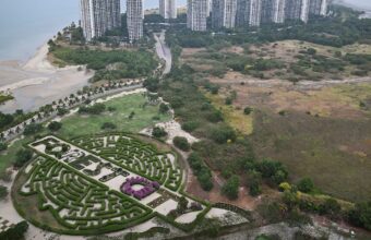 Scams and Illegal Activities Challenge Forest City’s Revival Efforts