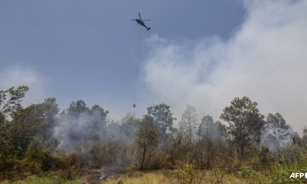 Indonesia Struggles to Control Escalating Forest Fires Despite Intensive Efforts Indonesia Struggles to Control Escalating Forest Fires Despite Intensive Efforts