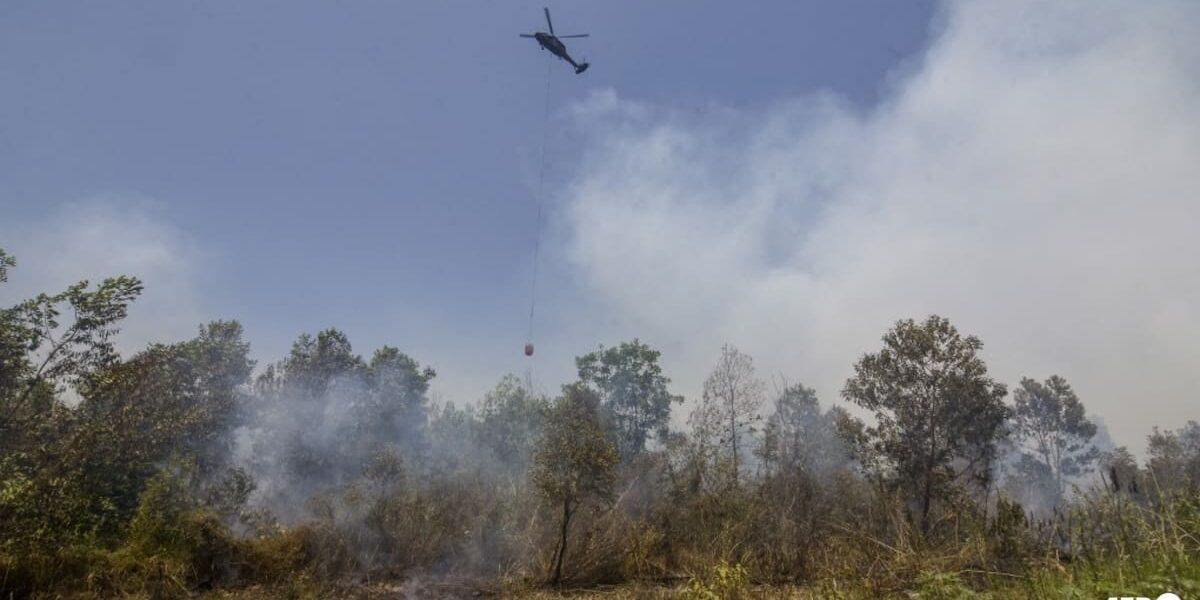 Indonesia Struggles to Control Escalating Forest Fires Despite Intensive Efforts Indonesia Struggles to Control Escalating Forest Fires Despite Intensive Efforts