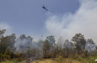 Indonesia Struggles to Control Escalating Forest Fires Despite Intensive Efforts