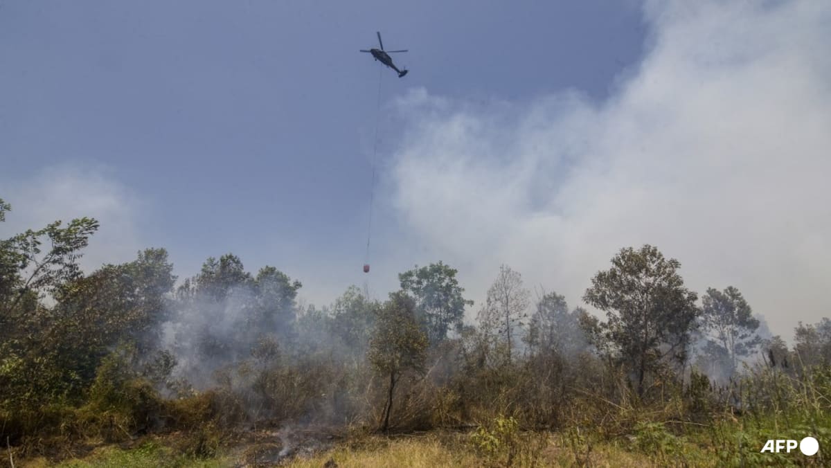Indonesia Struggles to Control Escalating Forest Fires Despite Intensive Efforts